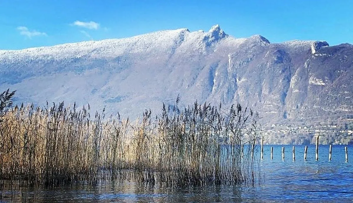 Montagnes et pâtisseries Patis’Cimes